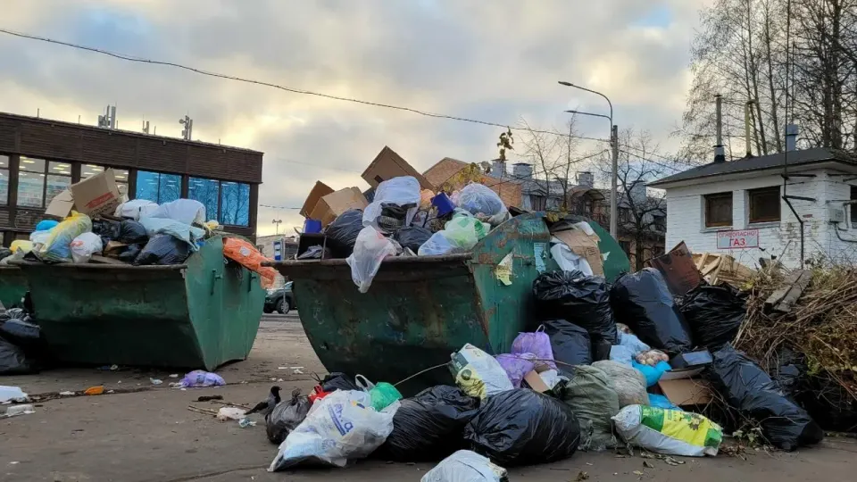 Фото из поста