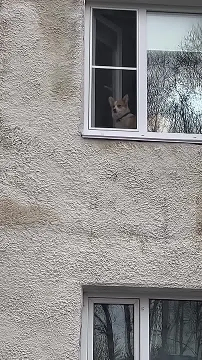 Обложка видео