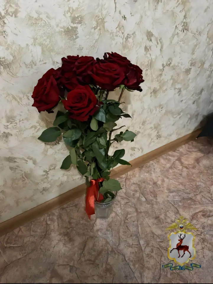 Фото из поста