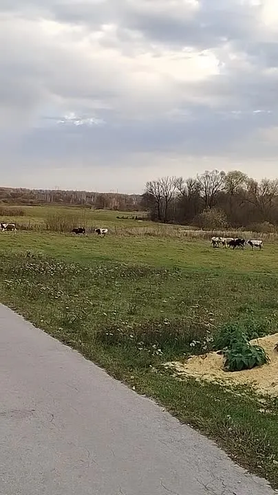 Обложка видео