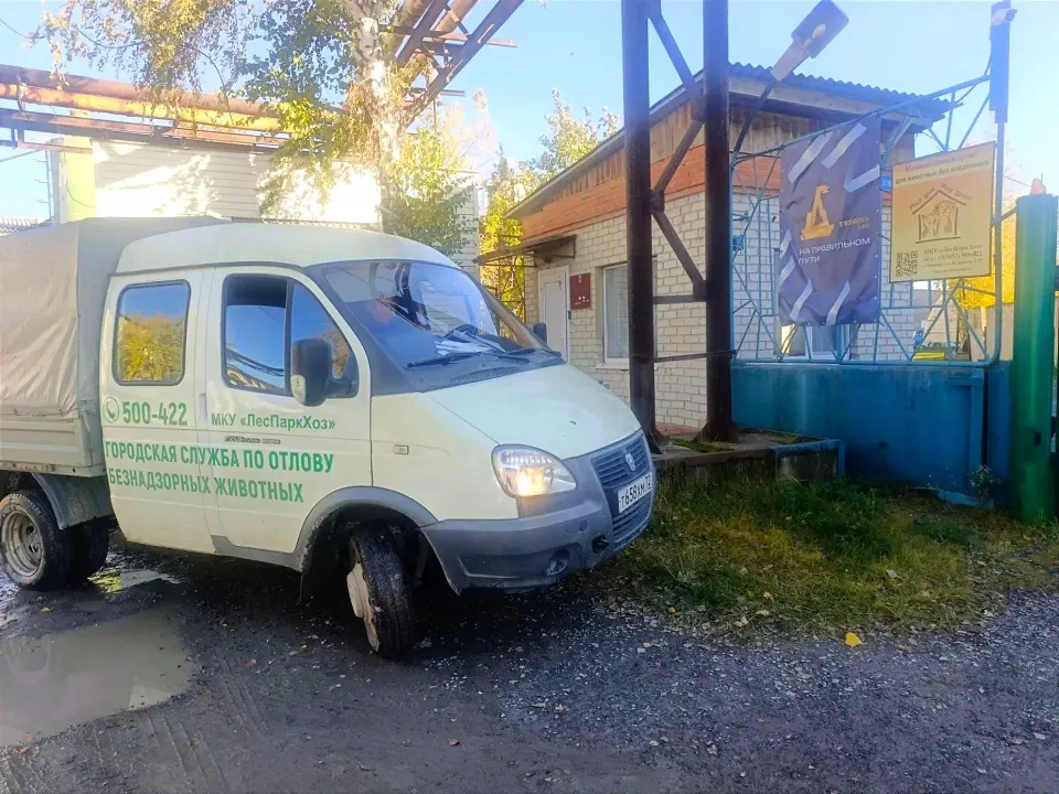 Фото из поста