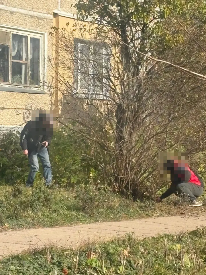 Фото из поста
