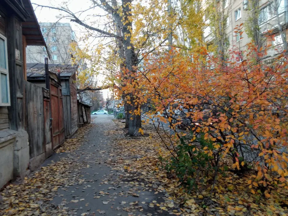 Фото из поста