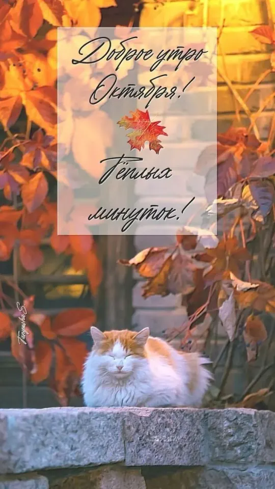 Фото из поста