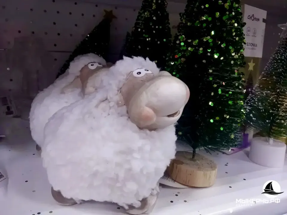 Фото из поста