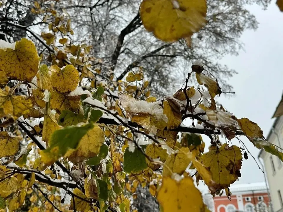 Фото из поста
