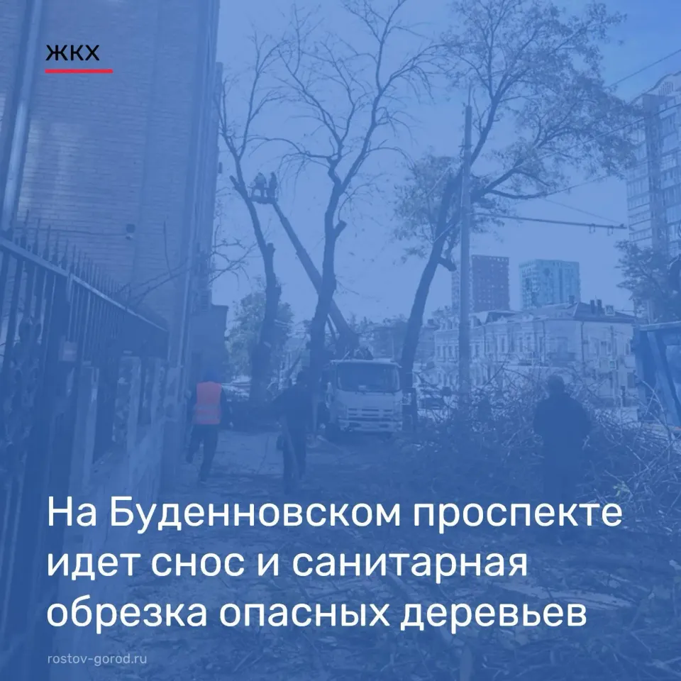 Фото из поста