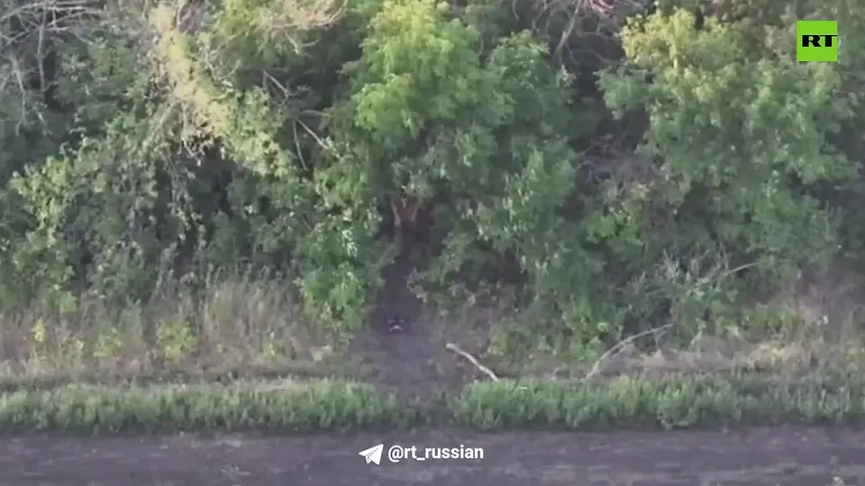 Обложка видео