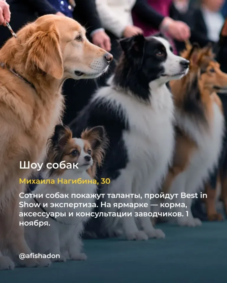 Фото из поста