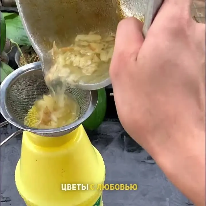 Обложка видео