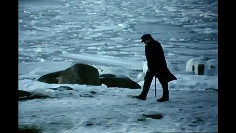 Обложка видео