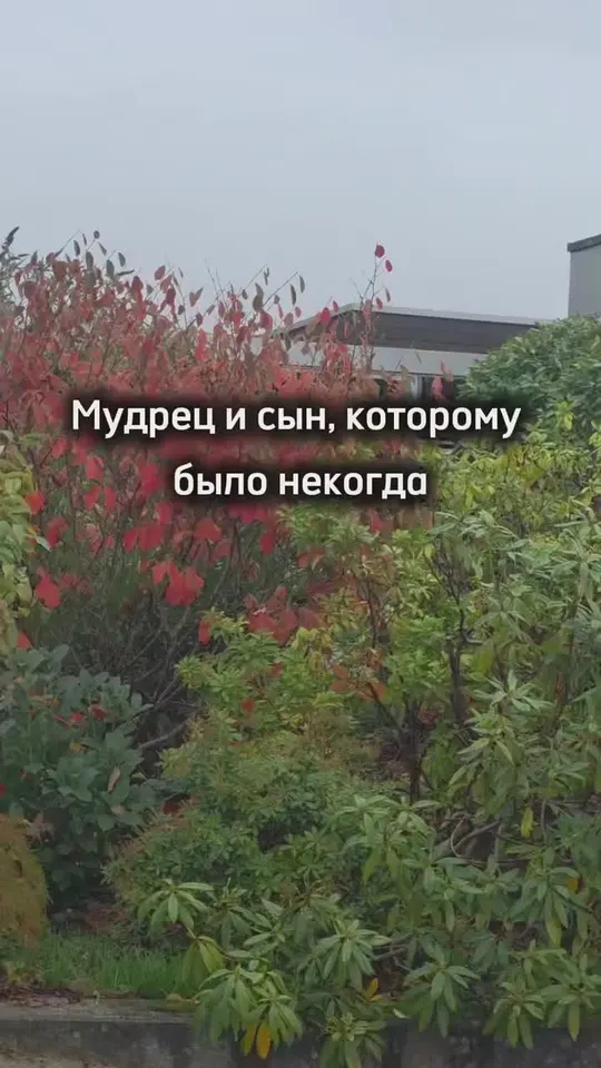 Обложка видео