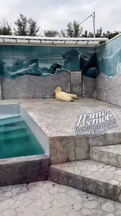 Обложка видео