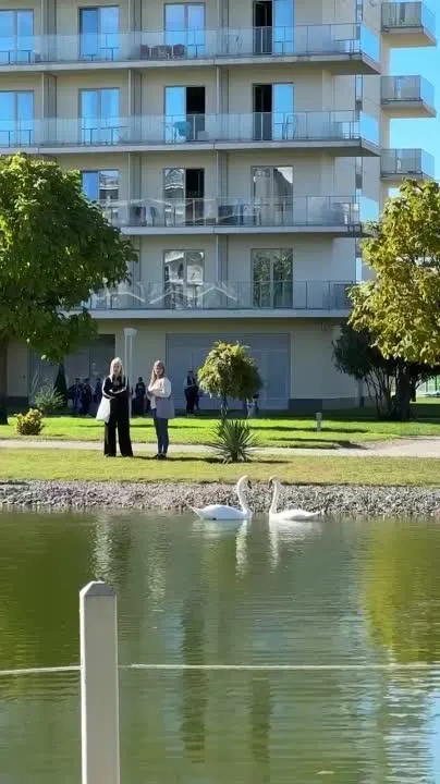 Обложка видео