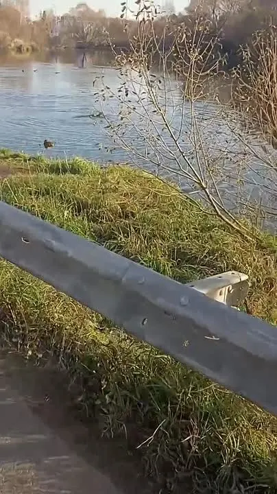 Обложка видео