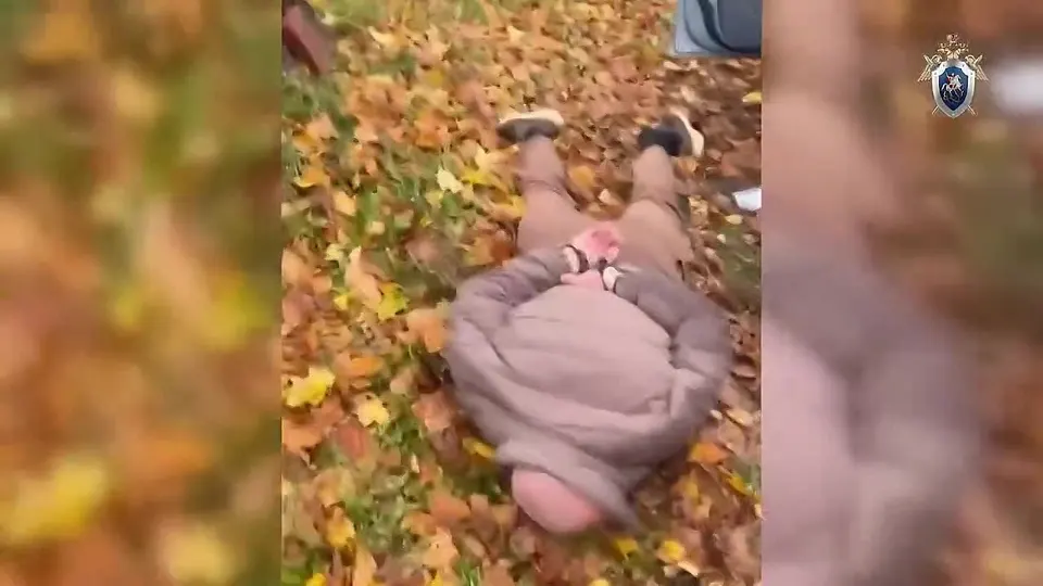 Обложка видео