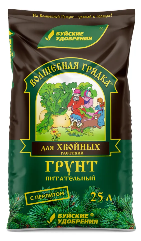 Фото из поста