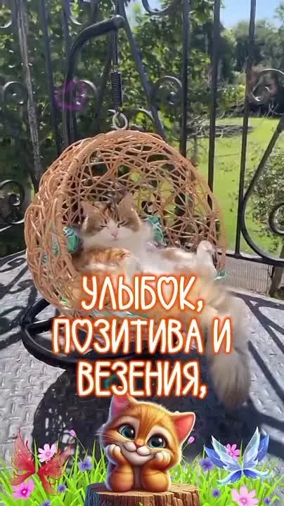 Обложка видео