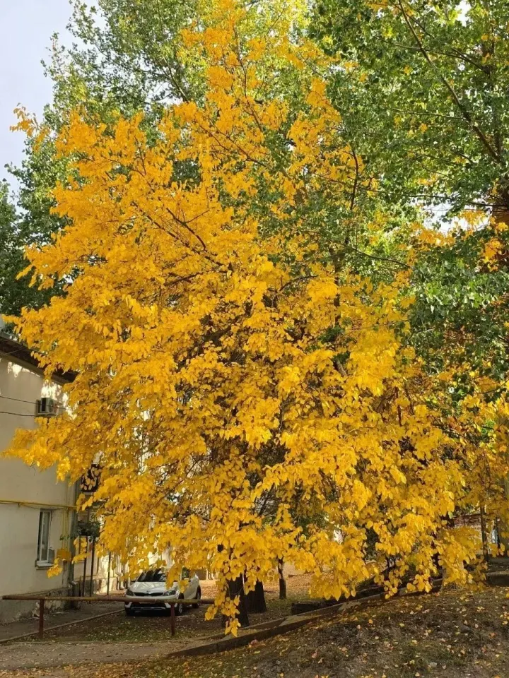 Фото из поста