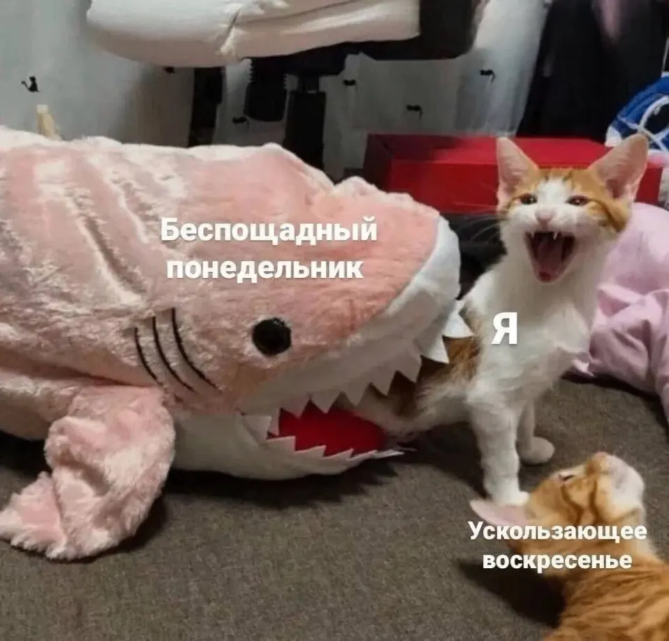 Фото из поста