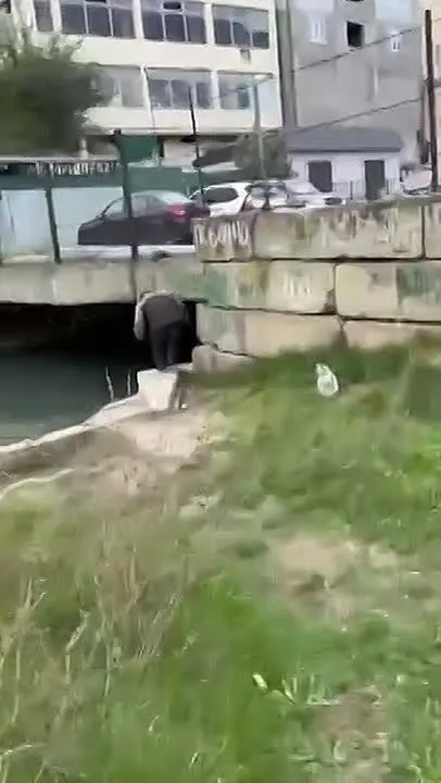 Обложка видео