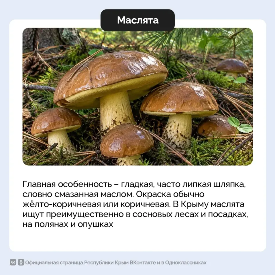 Фото из поста
