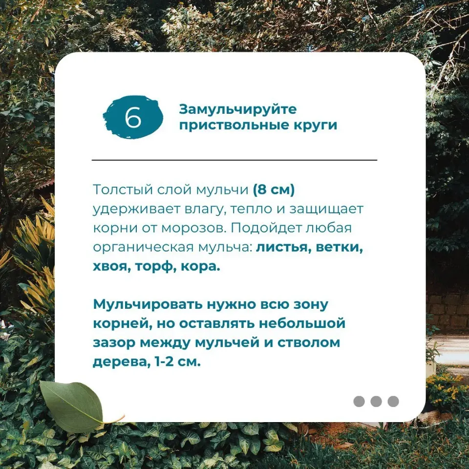 Фото из поста
