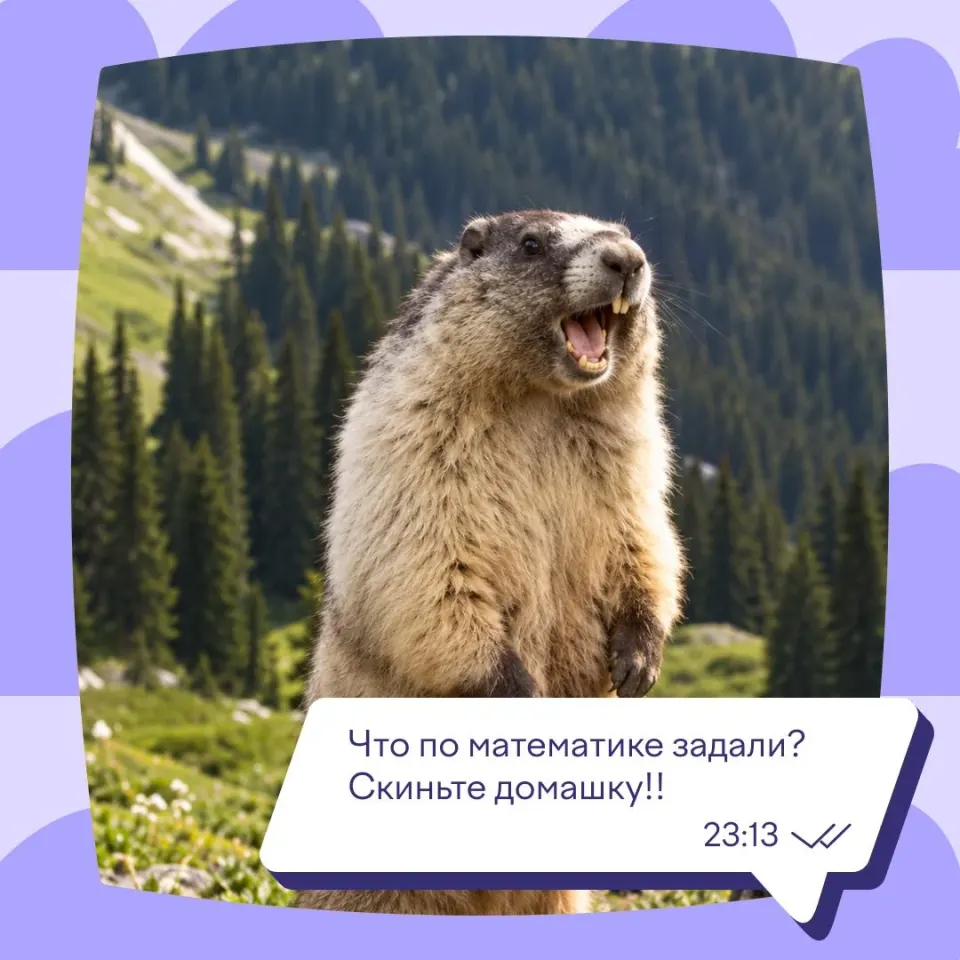 Фото из поста
