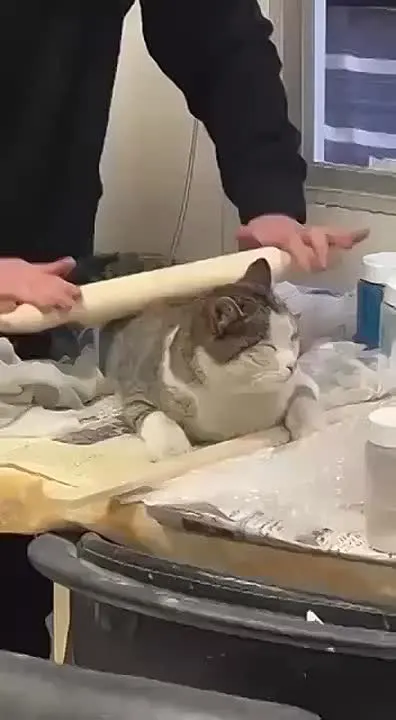 Обложка видео