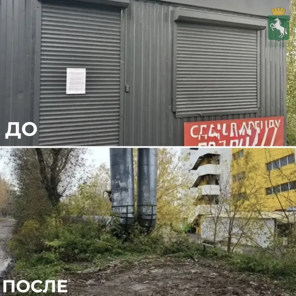 Фото из поста