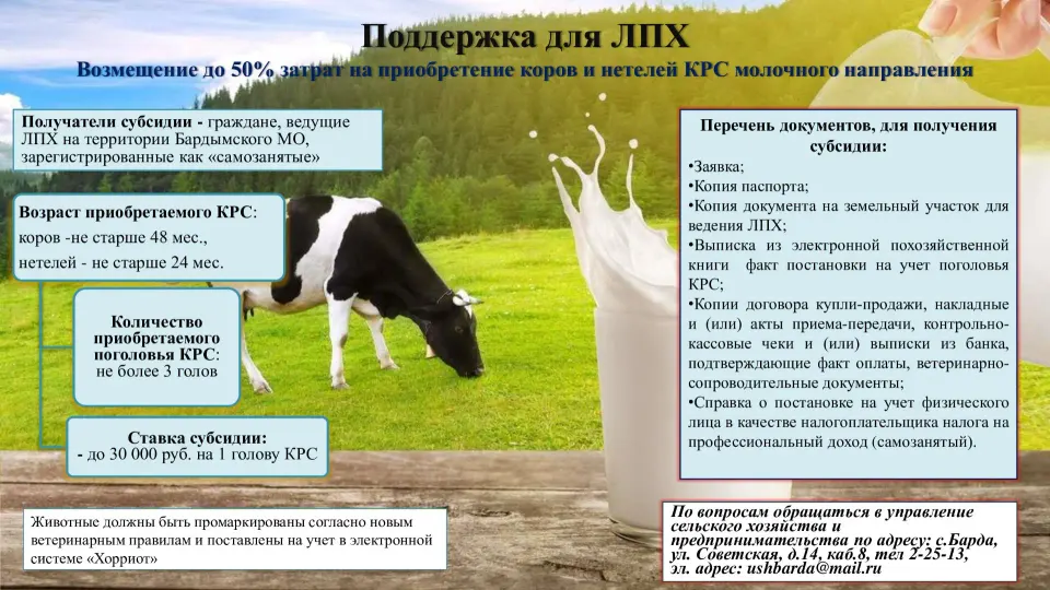Фото из поста