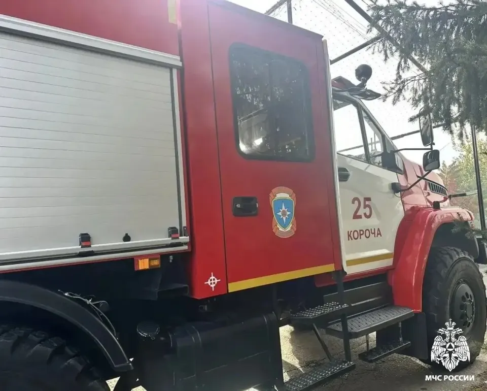 Фото из поста