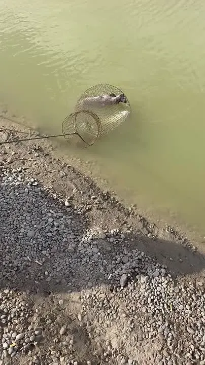 Обложка видео