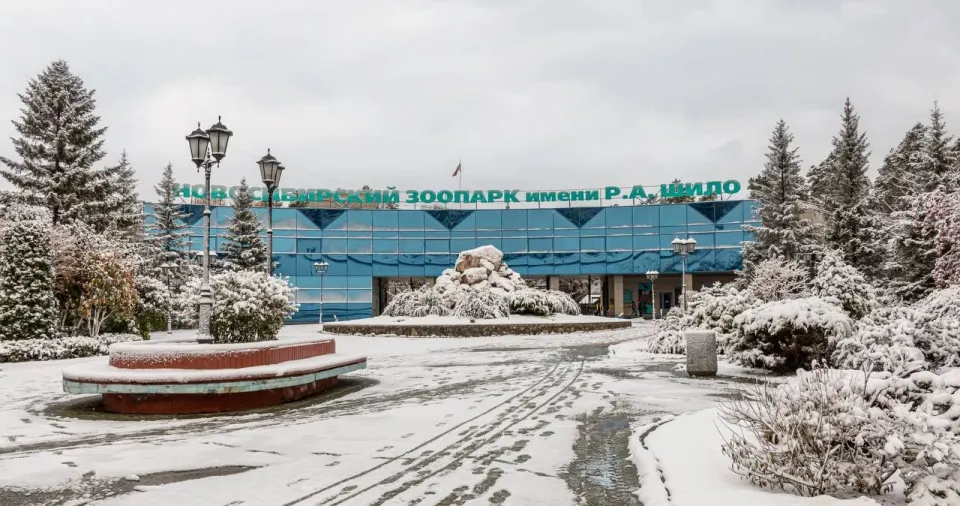 Фото из поста