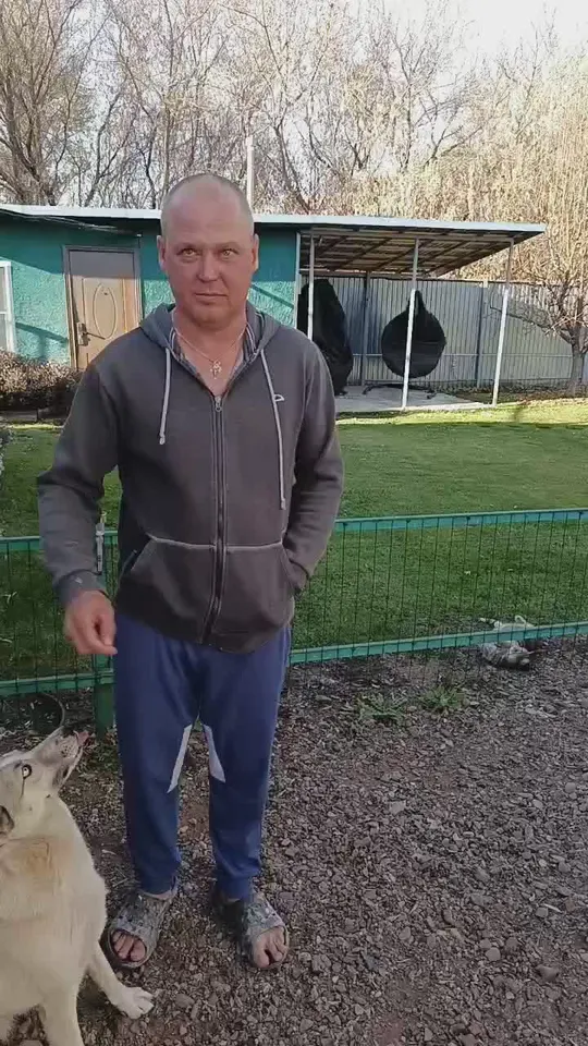 Обложка видео