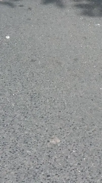 Обложка видео