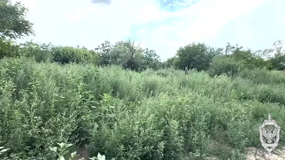 Обложка видео