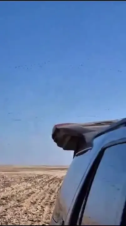 Обложка видео
