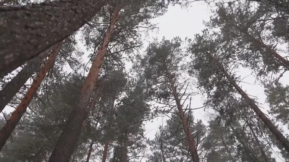 Обложка видео