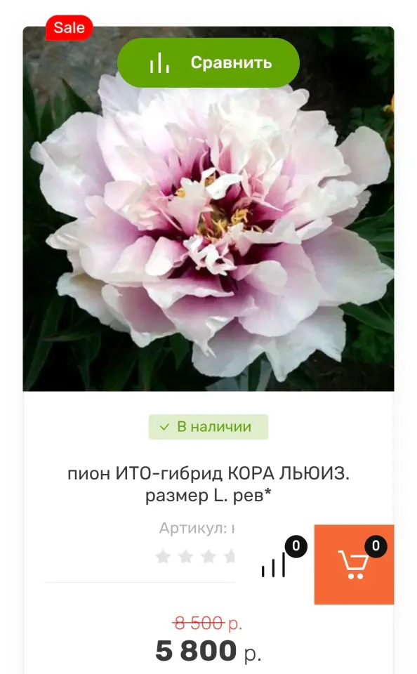 Фото из поста