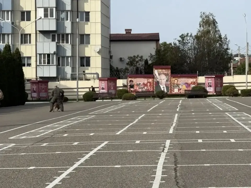 Фото из поста