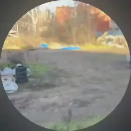 Обложка видео