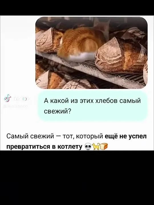 Обложка видео