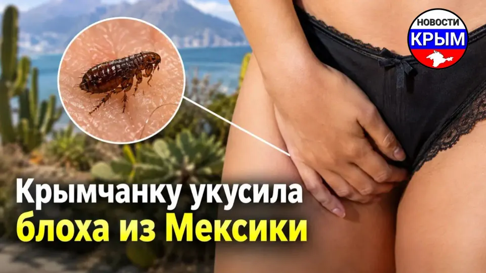 Фото из поста