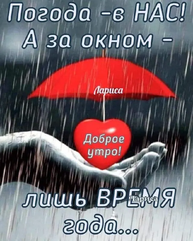 Фото из поста