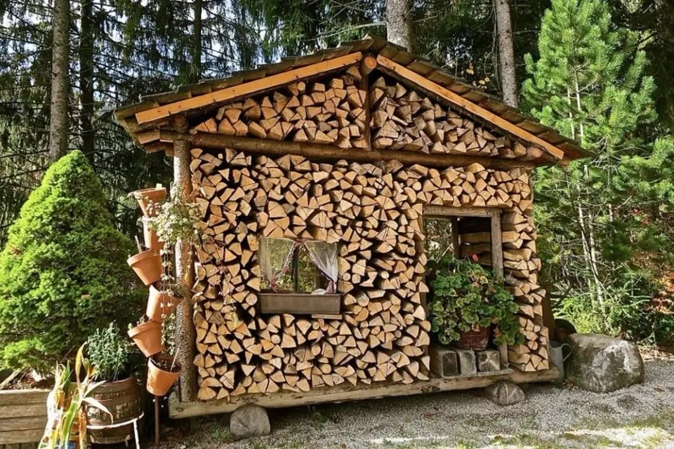 Фото из поста