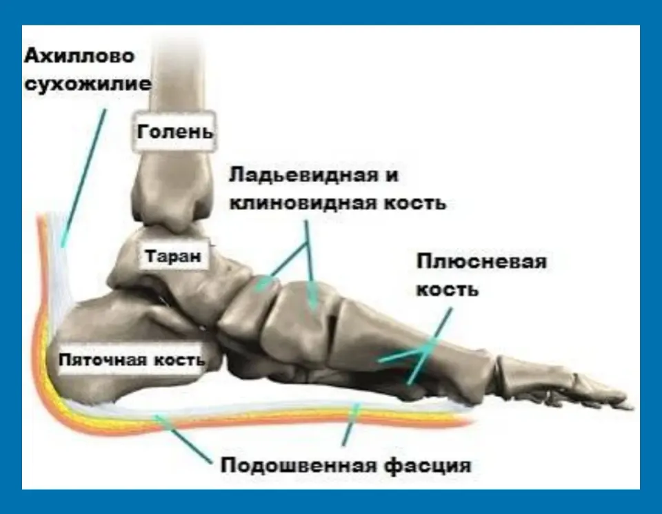 Фото из поста