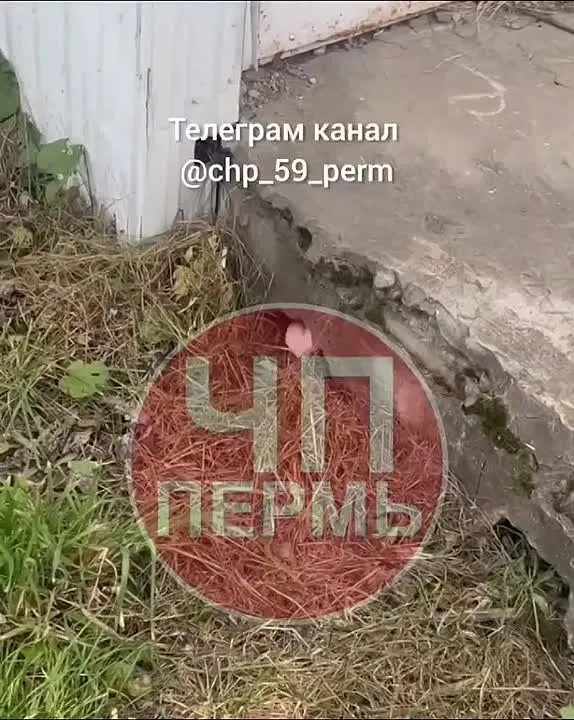 Обложка видео
