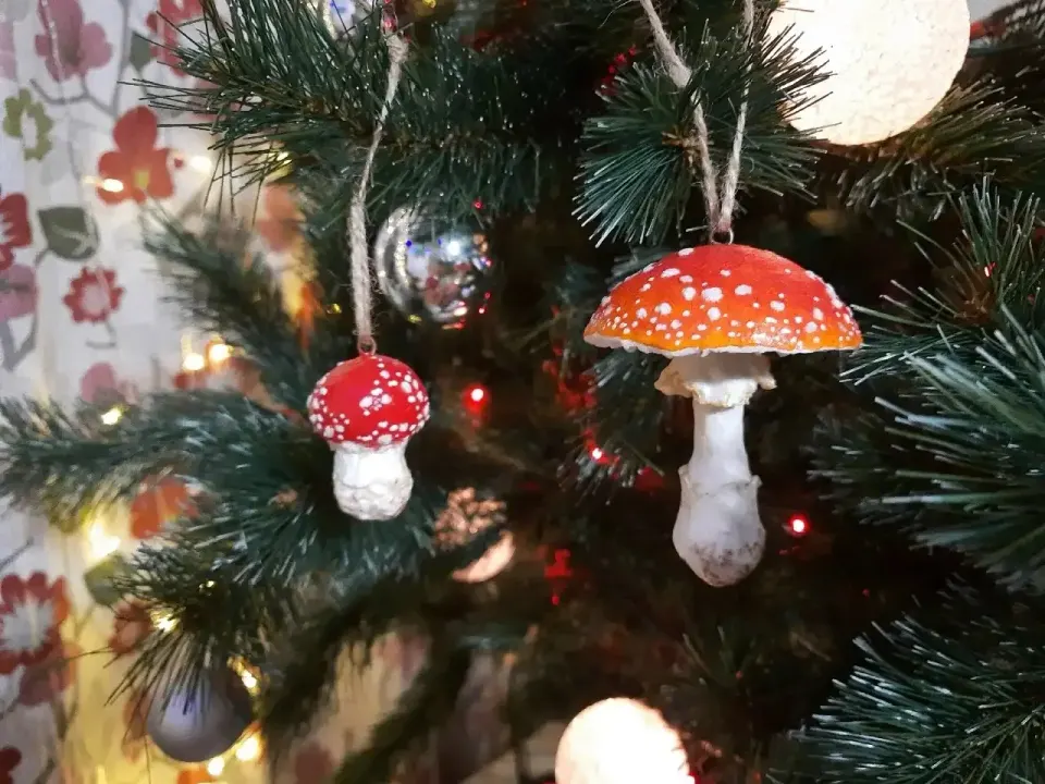 Фото из поста