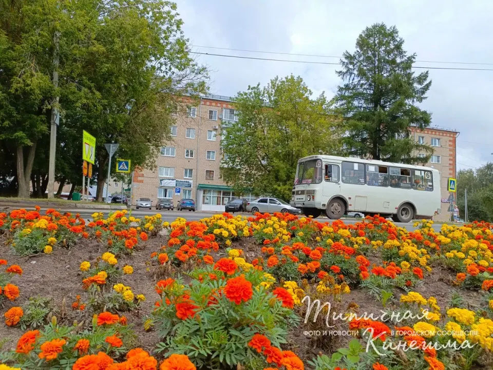 Фото из поста